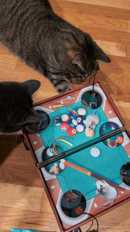 KONG Playground Pool Table Game & Puzzle Cat Toy with Catnip ...
