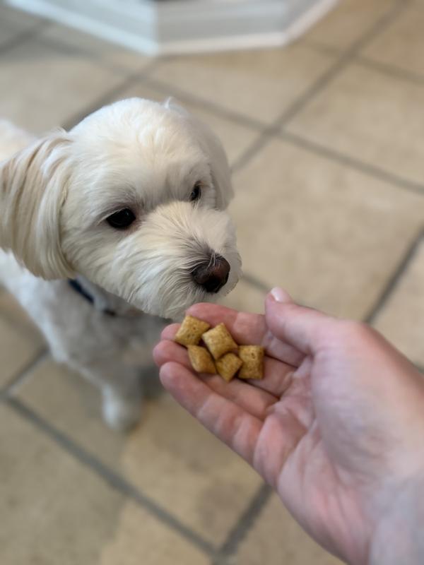 I had to take the picture fast before he grabbed them out of my hand