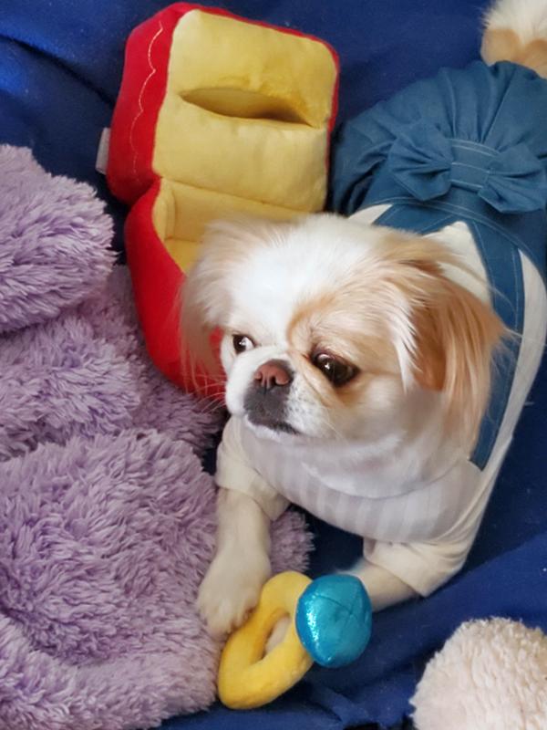 I'm VERY happy with my NEW DIAMOND!