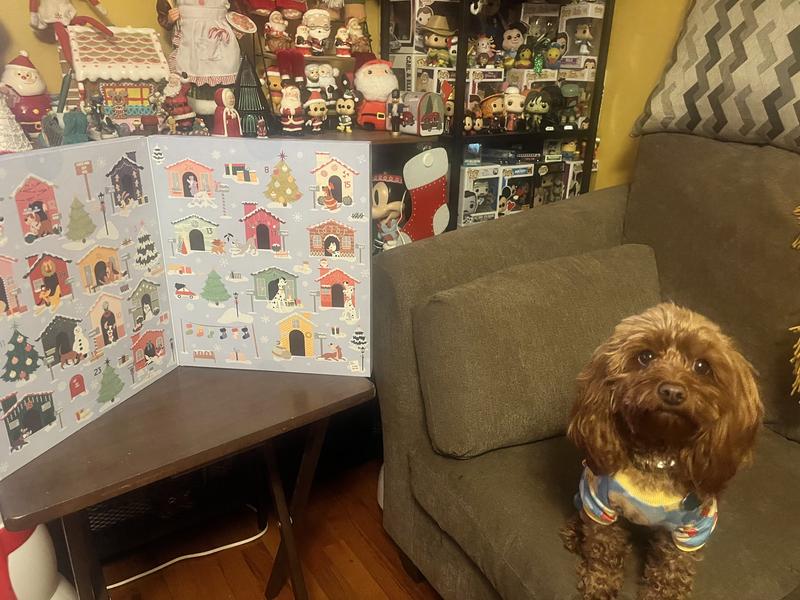 Waiting patiently for her nightly treat