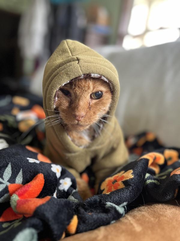 “Wonderful, just wonderful”