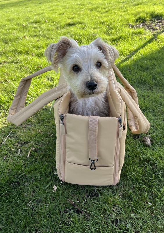 FRISCO Convertible Dog & Cat Carrier Tote Bag, Beige - Chewy.com