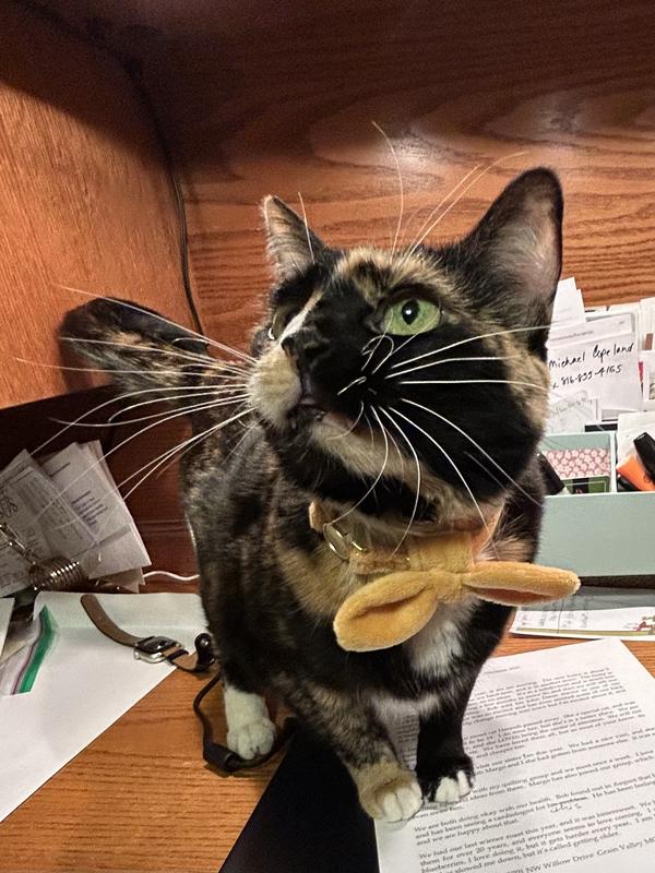 Great color that matches Lilly’s. coat.