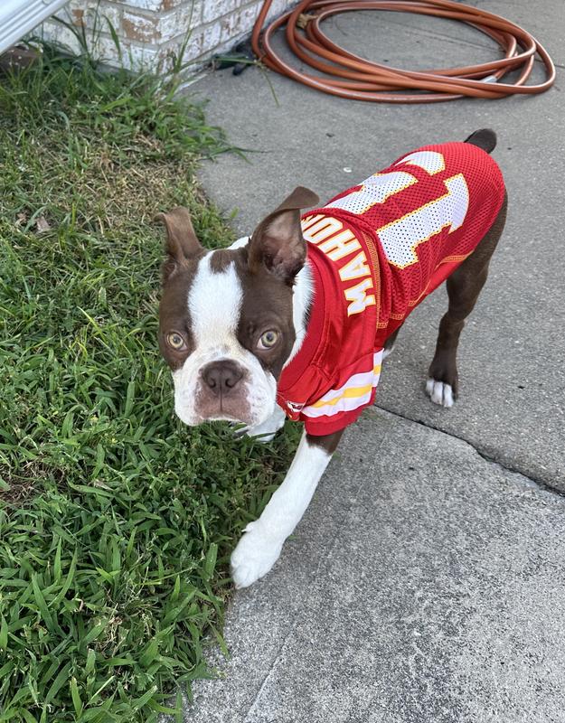 Caesar 4 The Chiefs! 🫶🏻 ♥️💛