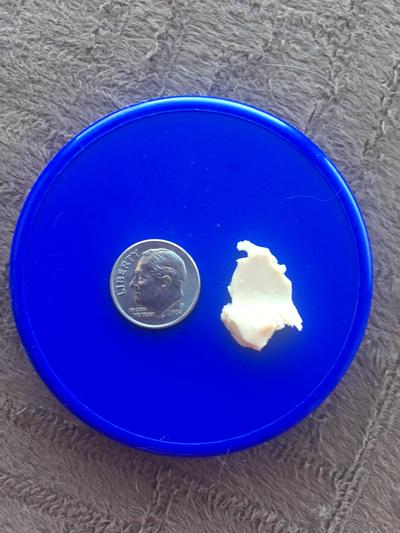 Some kind of rubbery animal by-product?