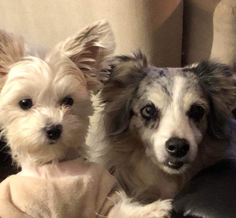 Buttercup and Charlotte