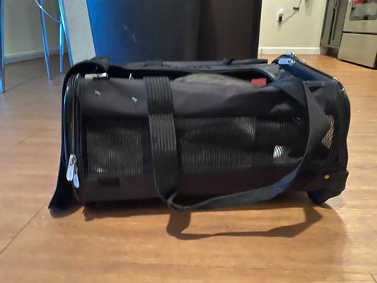 Sherpa Carriers & Crates  Ultimate On Wheels Soft-Sided Pet Carrier - Dog  < Fred Studio Photo