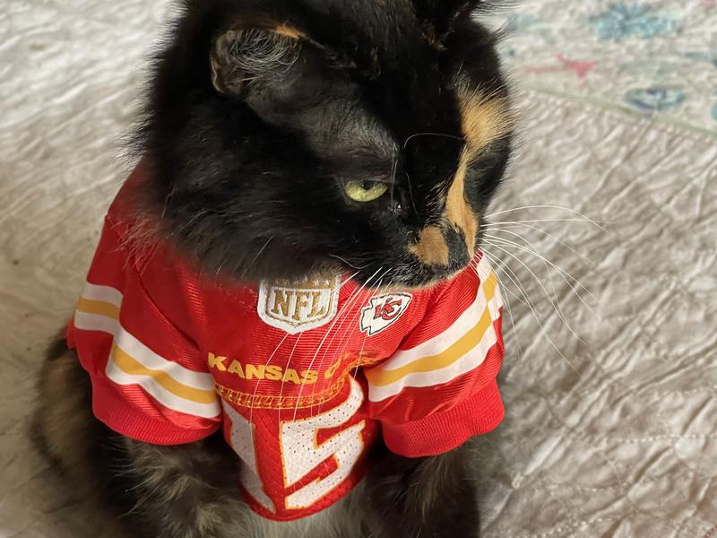 Pets First KCC-4145-SM Kansas City Chiefs Mesh Jersey