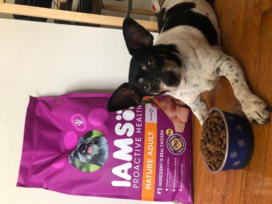 Iams mature outlet adult