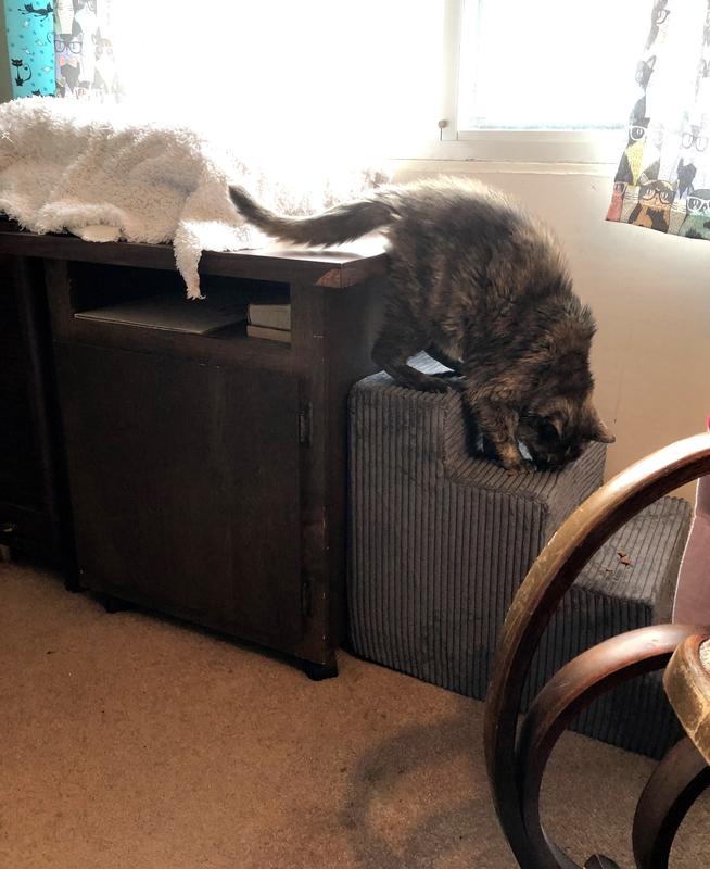 BEST PET SUPPLIES Corduroy & Foam Cat & Dog Stairs, Gray, Medium