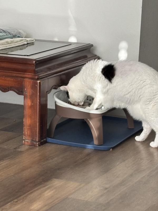 He needs to conquer his food choice.