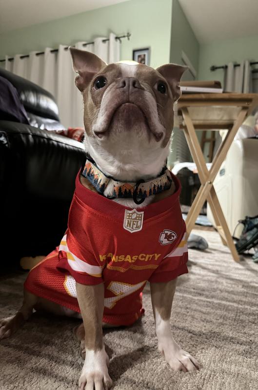 My little Chiefs fan
