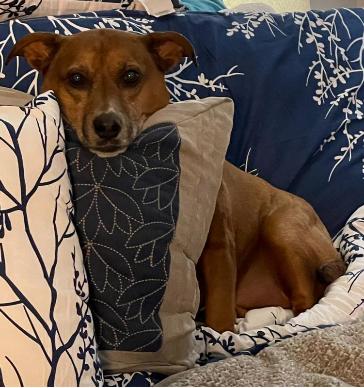 Mom, I love your pillows!!