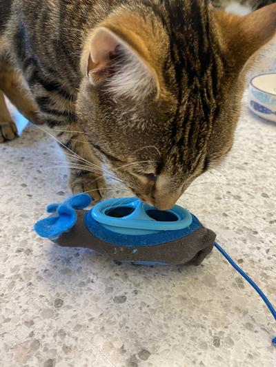 Doc & Phoebe Puzzle Cat Feeder