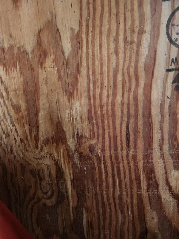 small example of the after cleaning part of the coop. Im thrilled!!