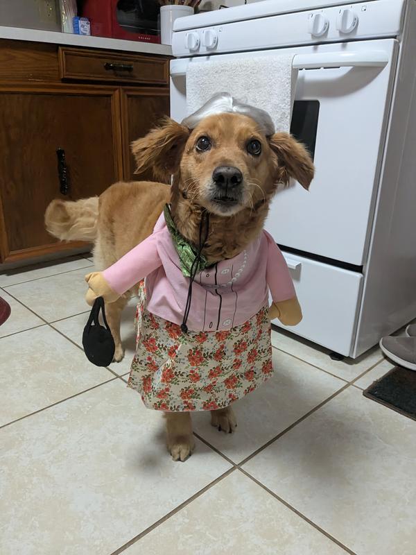 Cutest Granny