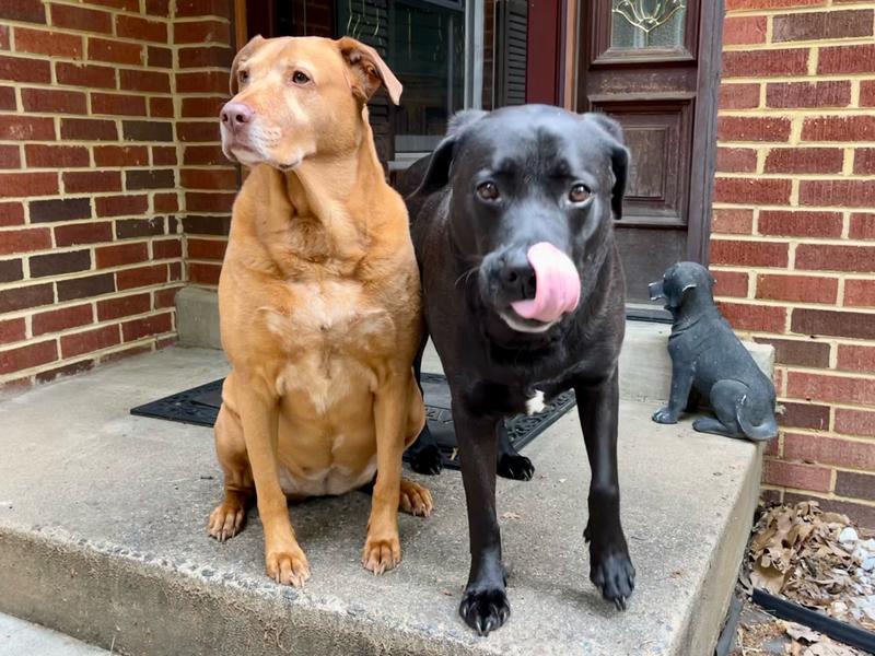 After our chew flips!