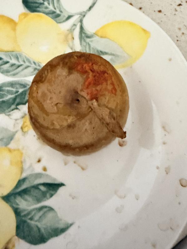 Mold?