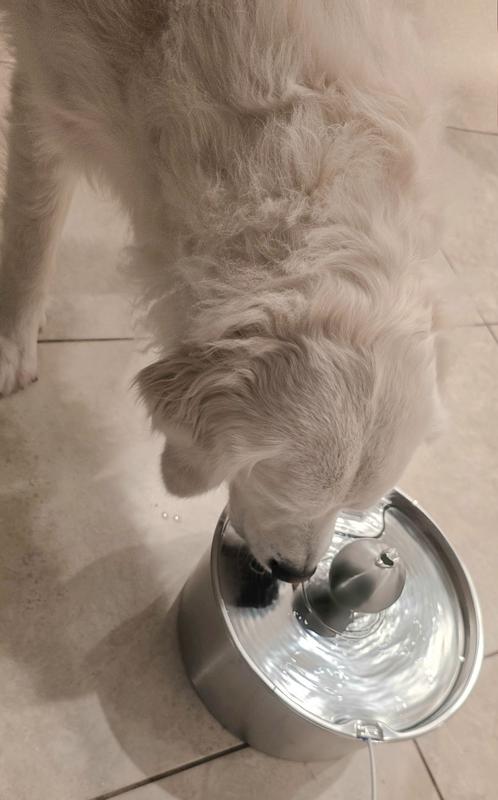 Fun way to drink water