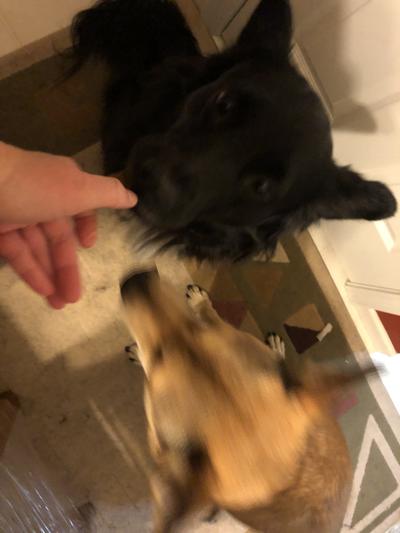 They took this FAST!