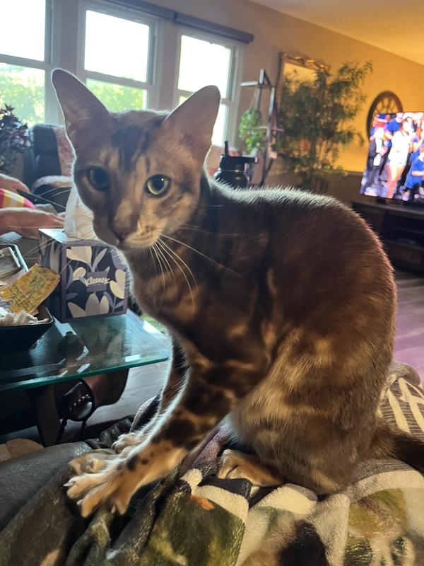 Lexus up close and personal!