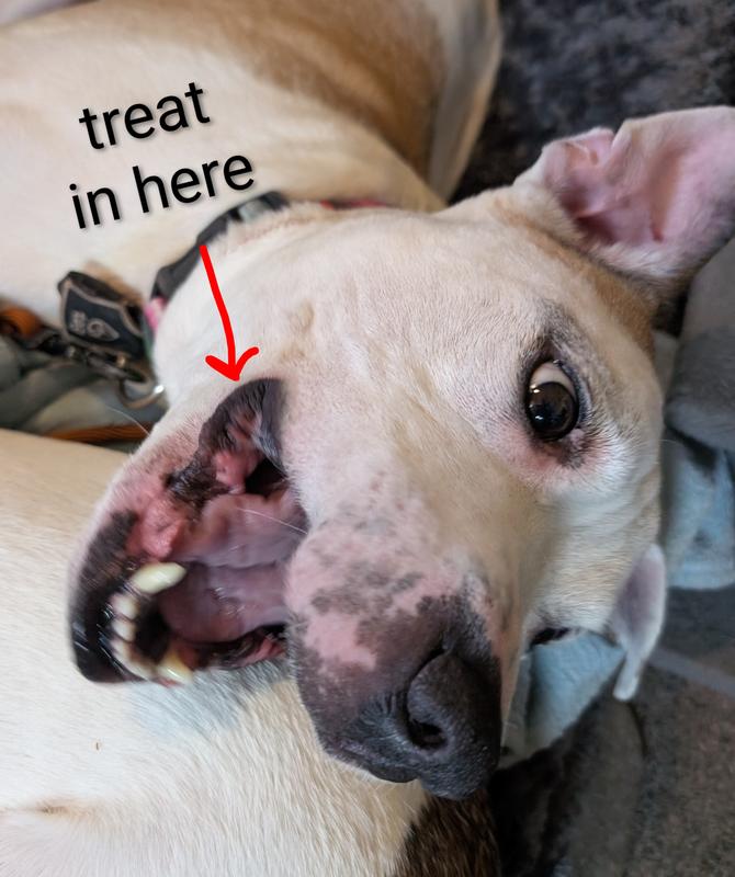 The treat barely touched the sides when James tried it