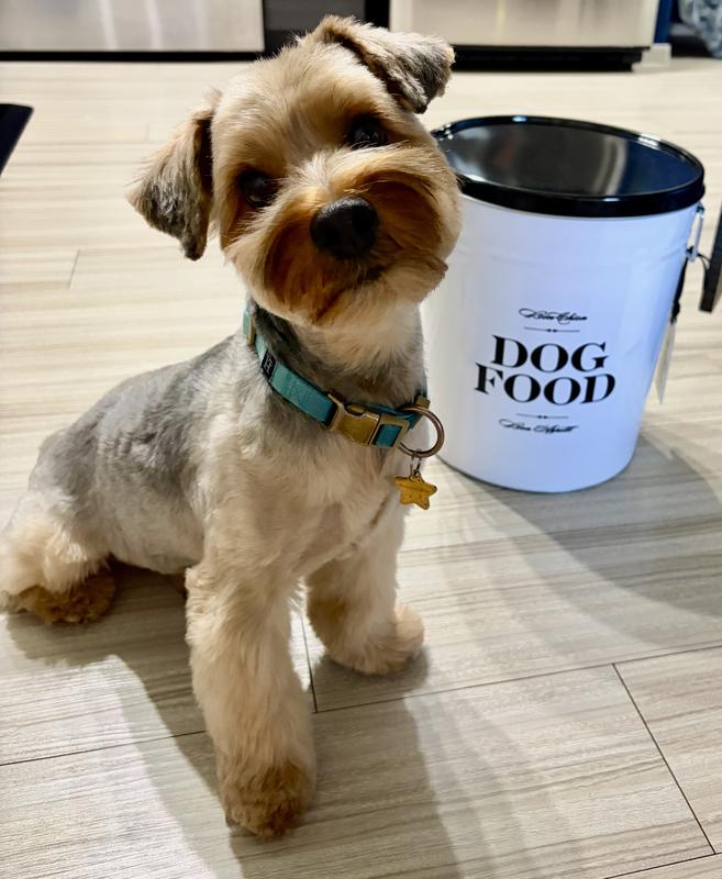 Sitting pretty for dinner time.