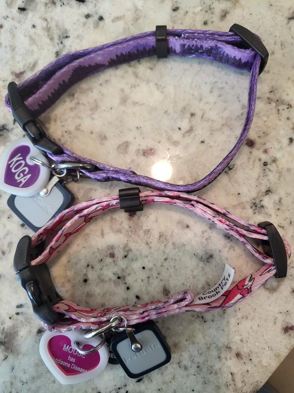 purple collar has no folds on inside of collar, making it more comfortable to wear
