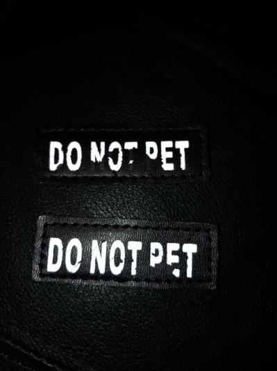 DOGGIE STYLZ Do Not Pet Dog Patch, 2 count, Small 