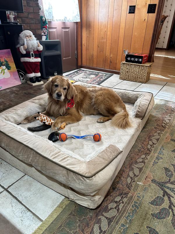 Queen Libby on her throne