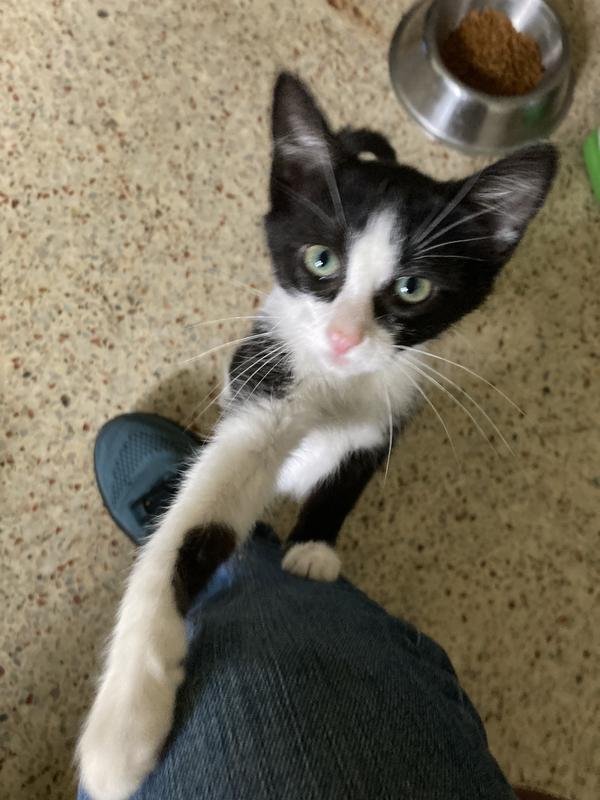 Katniss says more please