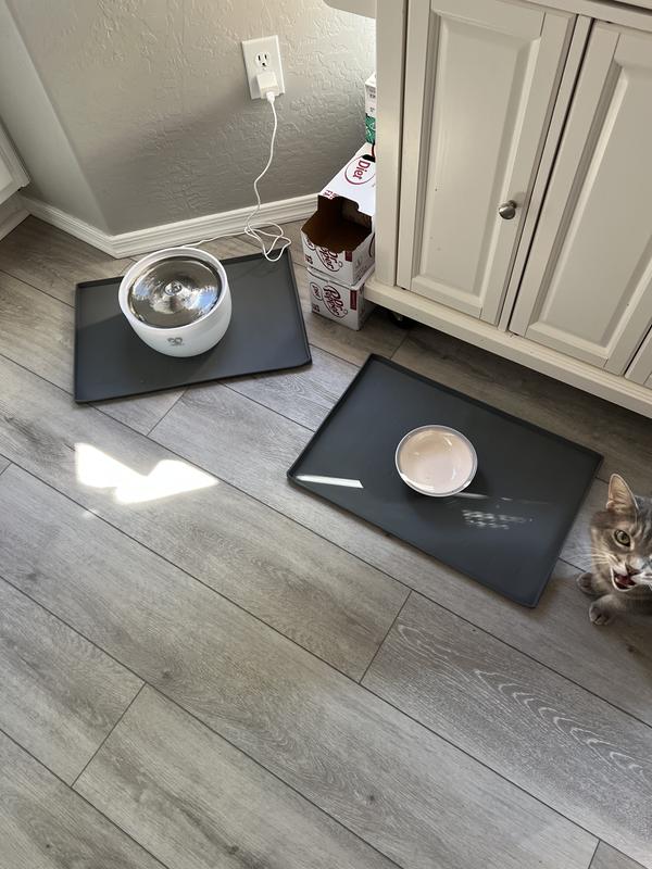 Geddy’s new water fountain