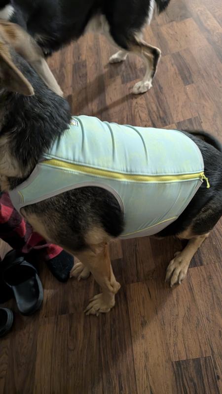 RUFFWEAR Swamp Cooler Zip Dog Vest, Blue Mist, X-Small - Chewy.com