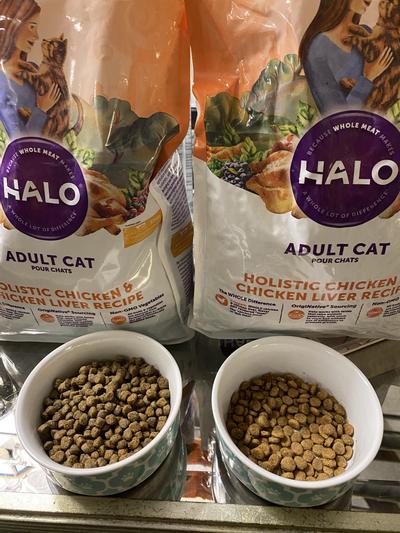 Chicken Liver Halo Dry Cat Food HALO Holistic Cage-free Chicken