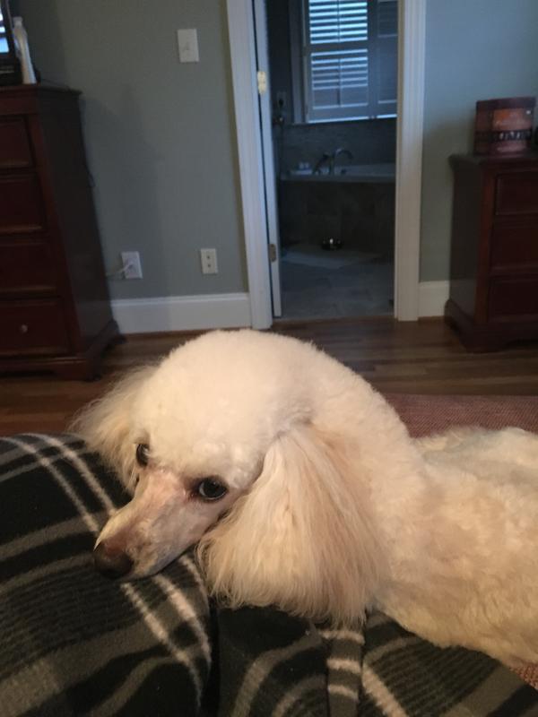 JayJay begging for more!