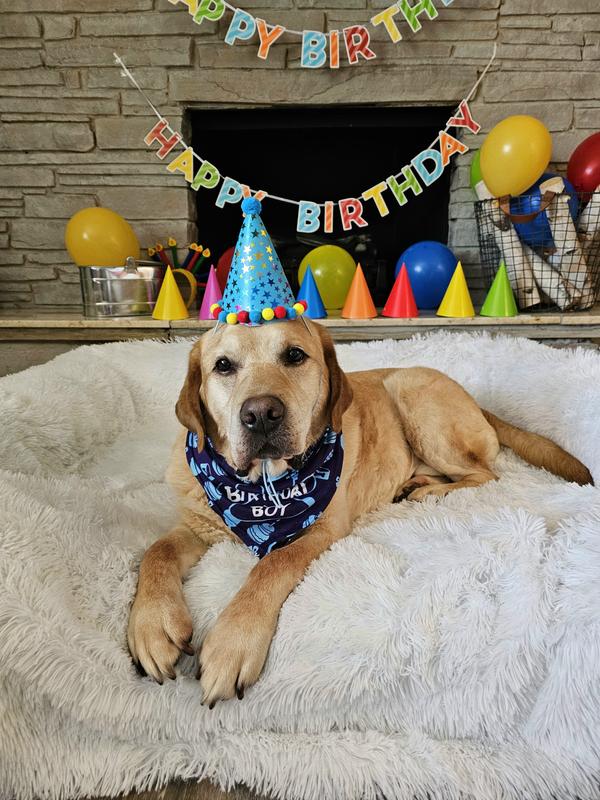 Cover the bed with blankets for added comfort.