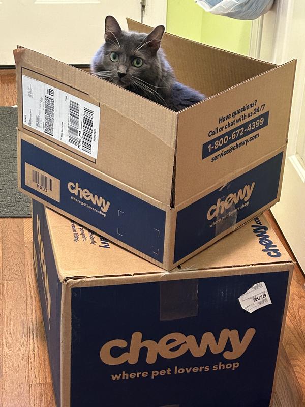 Looking for the Evolve food