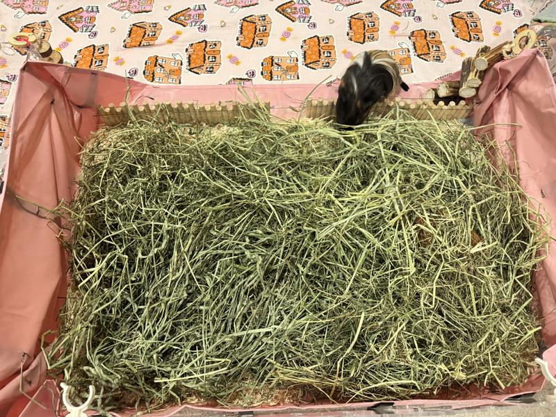 We cover with bedding