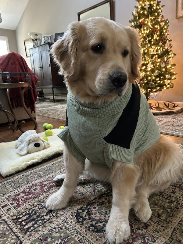 Harleigh Christmas 2025