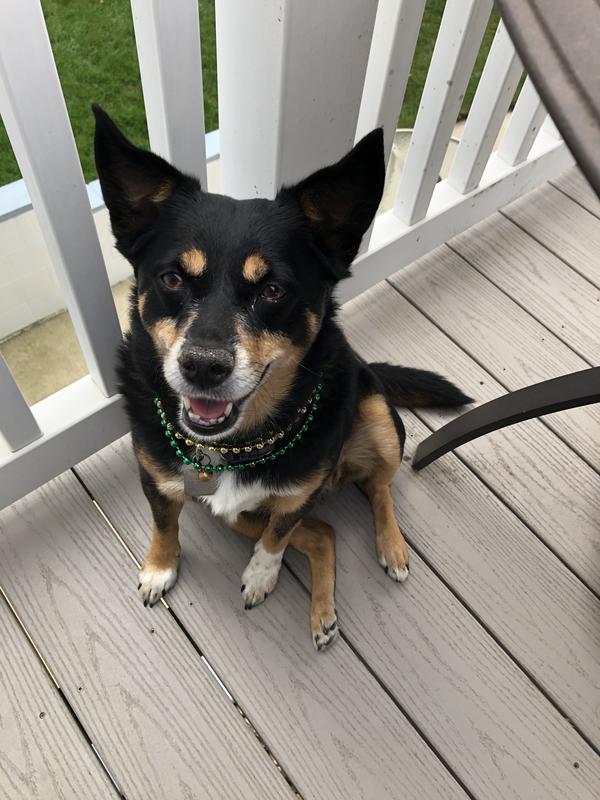 Loves Julie’s variety of foods and treats