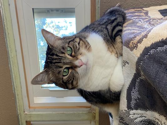 Our chubby tripod Faith