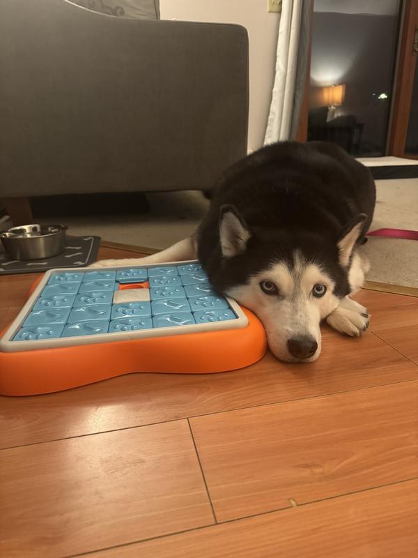 Juguete Rompecabezas Para Perros Challenge Slider - Desliza, Busca Premios Y Estimula Su Mente