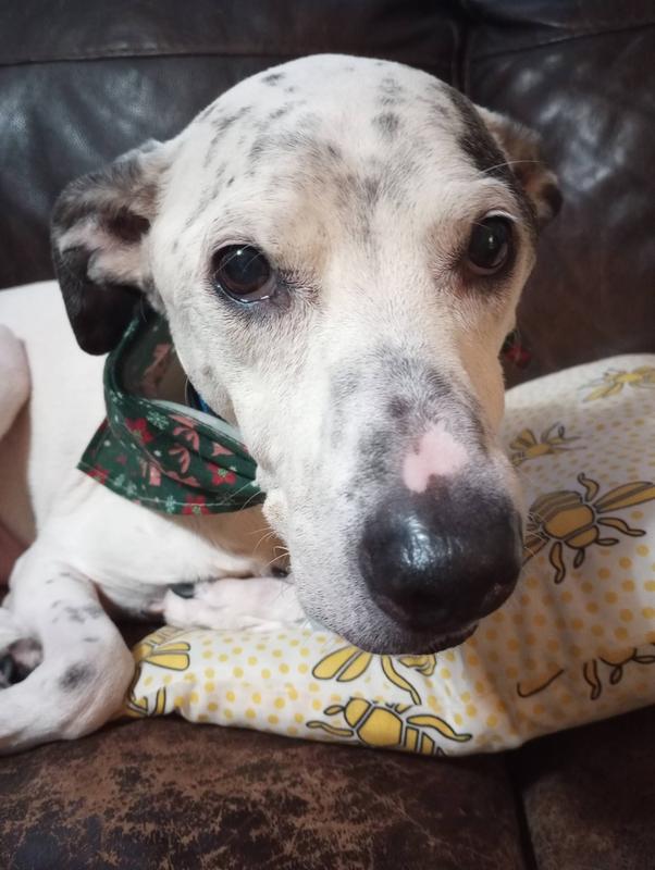 Smelling fantastic :)