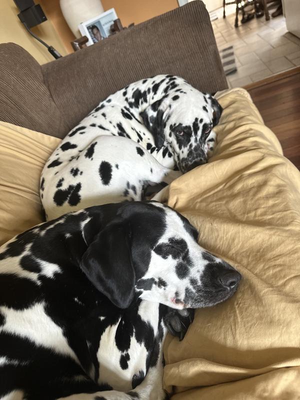 Sleeping through the storm