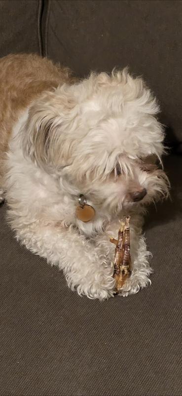 Picky eater enjoys chicken feet