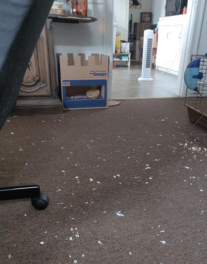 Litter mess in front of cage