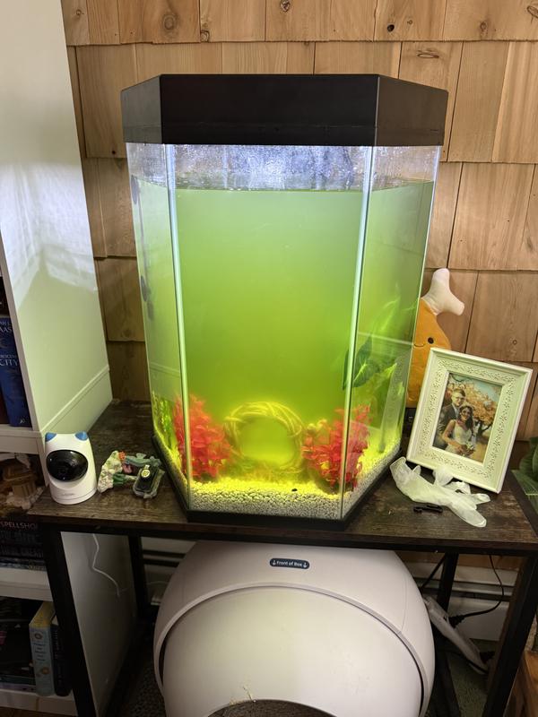 Before the green killing machine