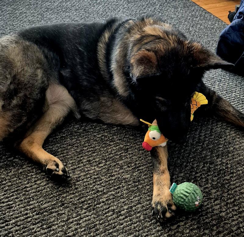 Tessa with her ball and fish.