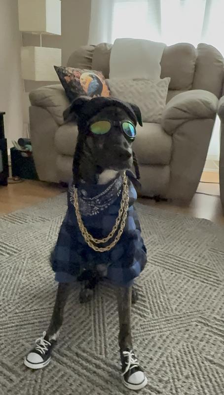 Asher as Snoop Dogg! 🎃