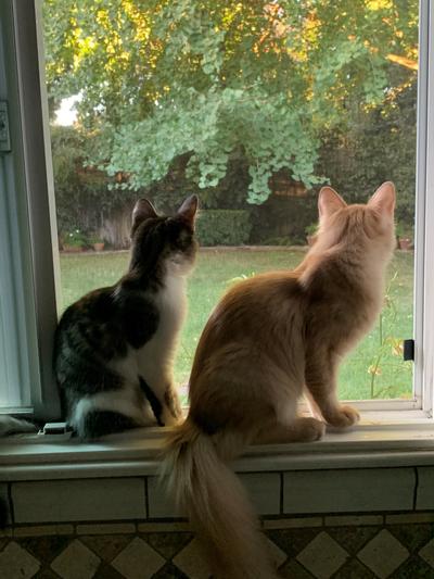 Hoping for a squirrel sighting!